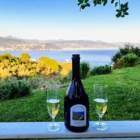 Villa Agriturismo Terre Rosse Portofino Exterior foto