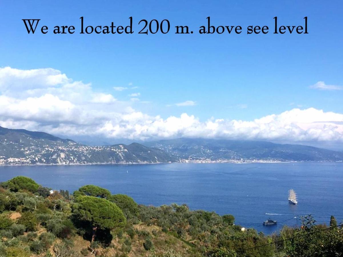 Villa Agriturismo Terre Rosse Portofino Exterior foto