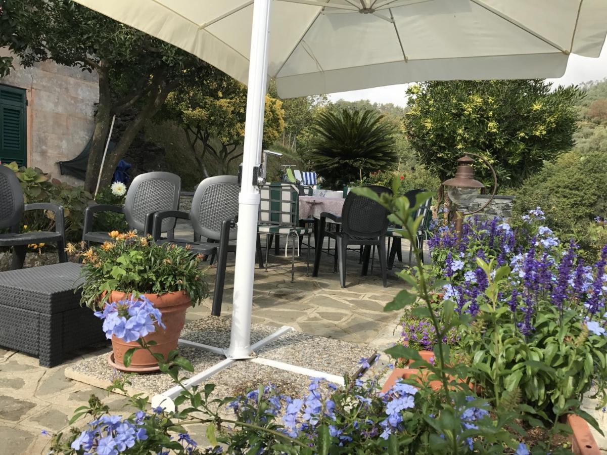 Villa Agriturismo Terre Rosse Portofino Exterior foto
