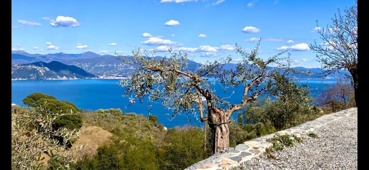 Villa Agriturismo Terre Rosse Portofino Exterior foto