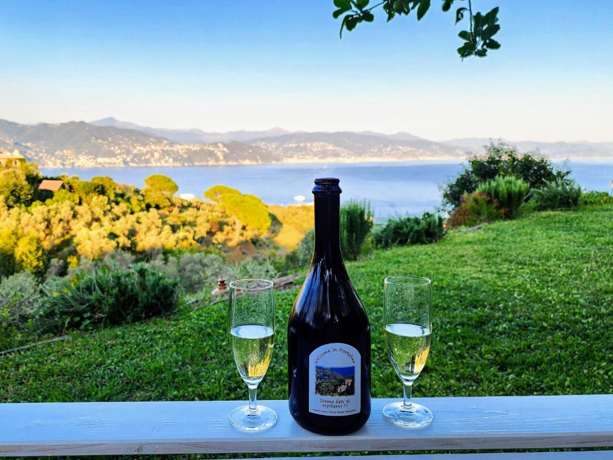 Villa Agriturismo Terre Rosse Portofino Exterior foto