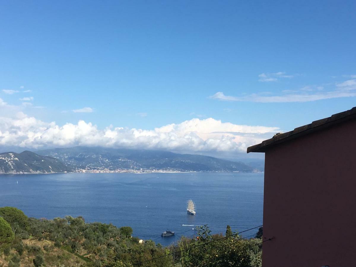 Villa Agriturismo Terre Rosse Portofino Exterior foto